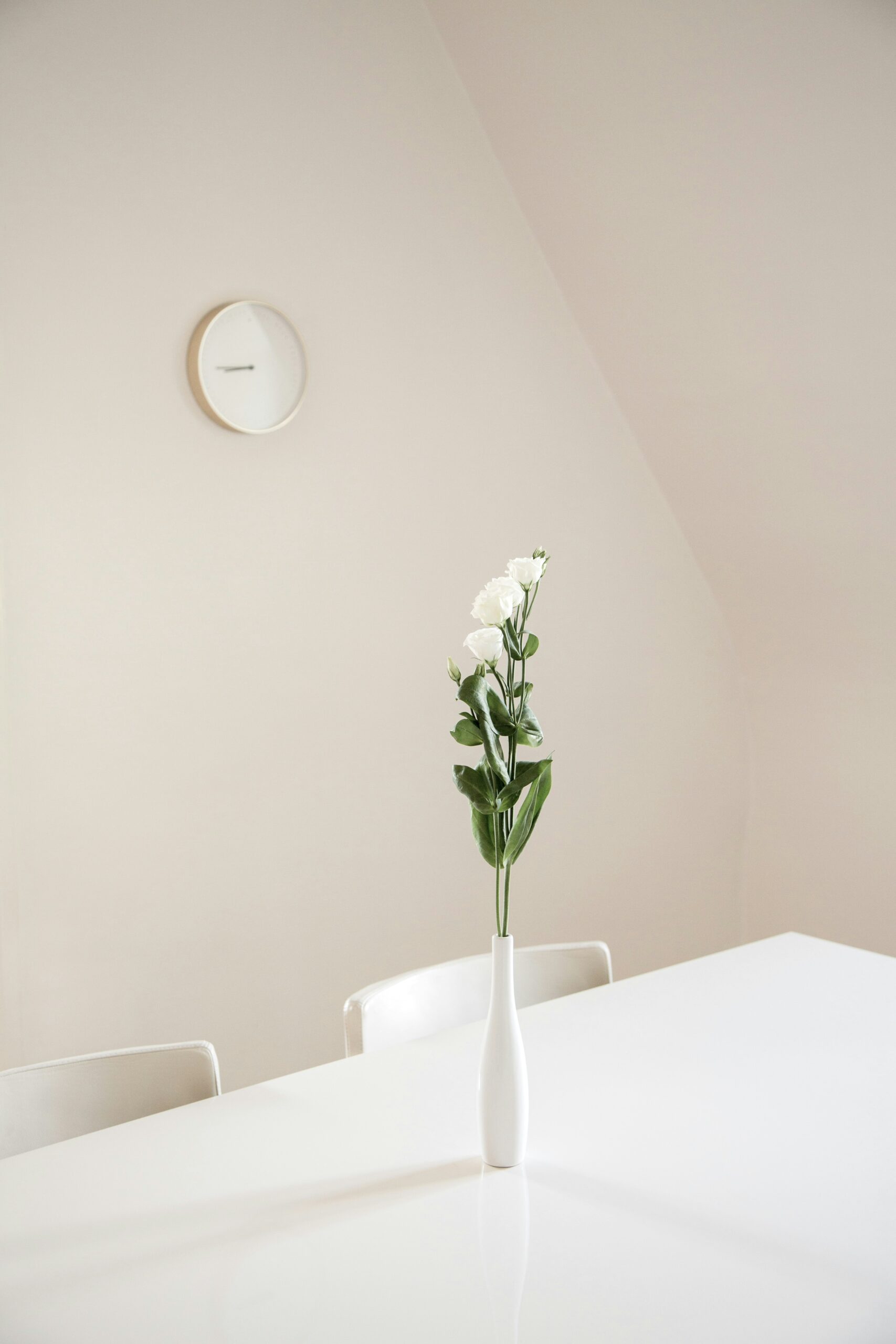 A flower in a white vase sits on a clean white table